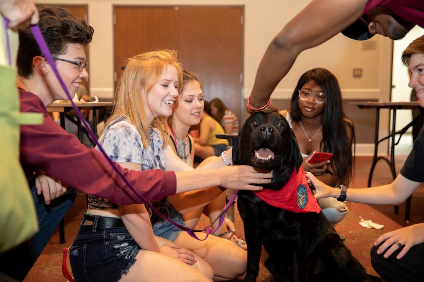 Students interact with a dog during a Toys for Paws event.